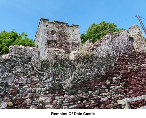 Remains of Dale Castle