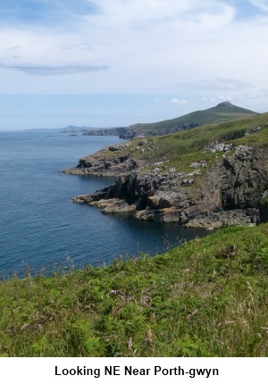 Coast near Porth-gwyn