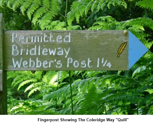 Fingerpost showing Coleridge Way "quill" sign