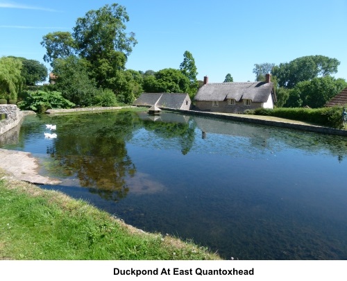 East Quantoxhead duck pond