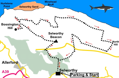 Selworthy Beacon walk sketch map