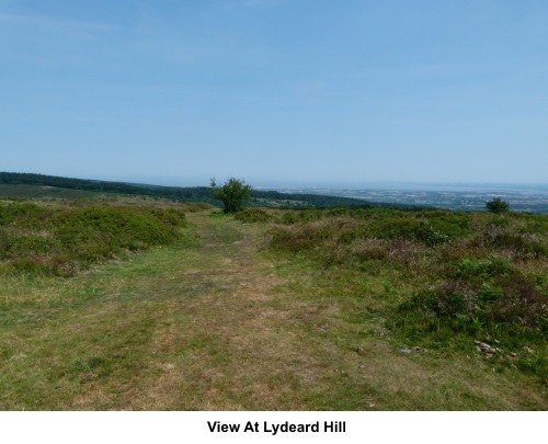 Lydyeard Hill view