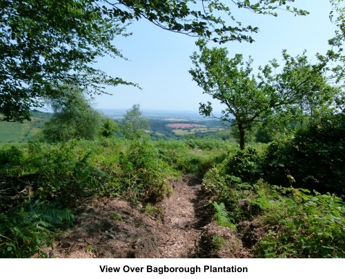 View over Bagborough Plantation