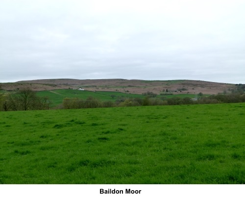 Baildon Moor