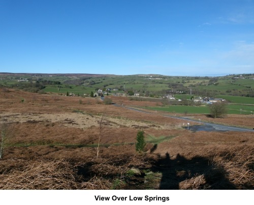 View over Low Springs