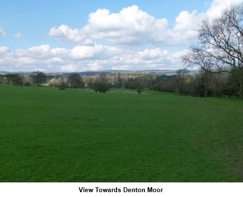 View to Denton Moor