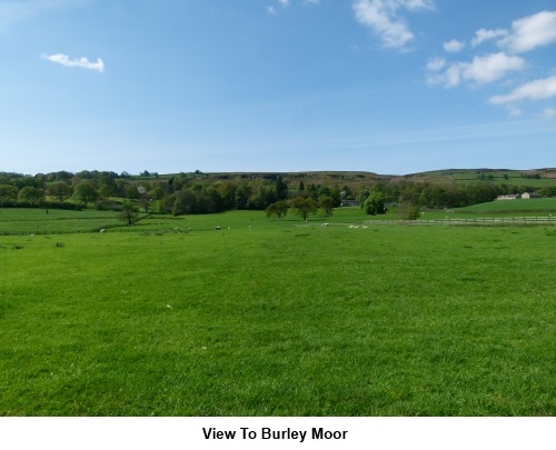 View to Burley Moor