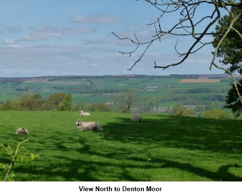 View north to Denton Moor