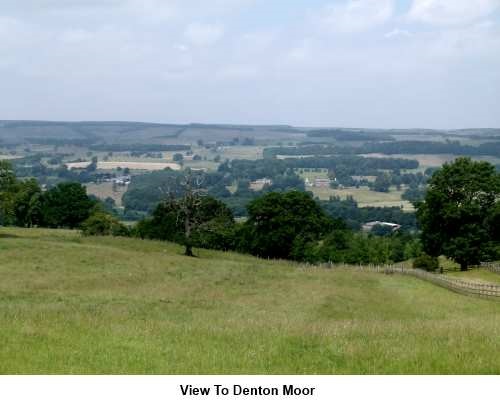 Views to Denton Moor