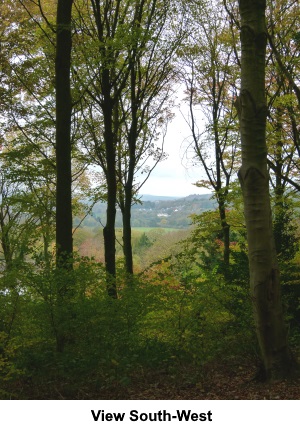 View south west through the trees.