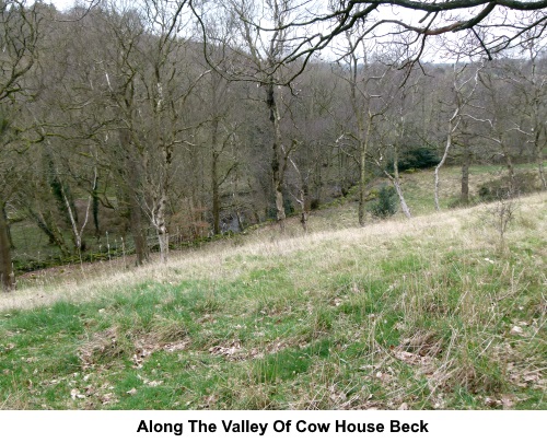 View along the valley of Cow House Beck.