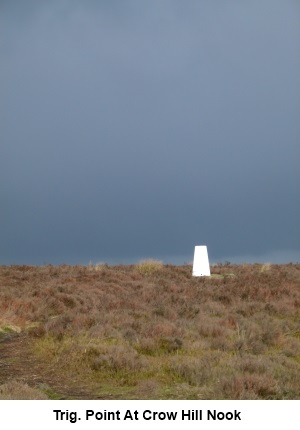 Trig. point on Crow Hill Nook