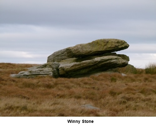 Winny Stone