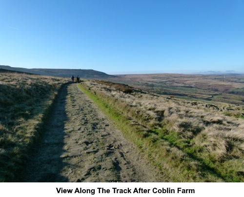 View along the track after Coblin Fanm.