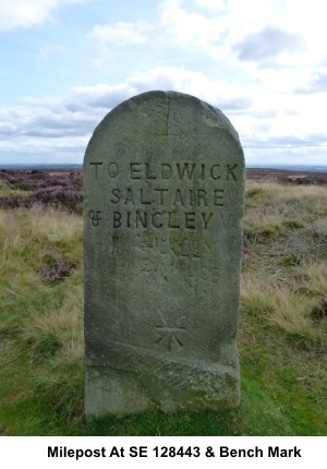 Milepost with benchmark
