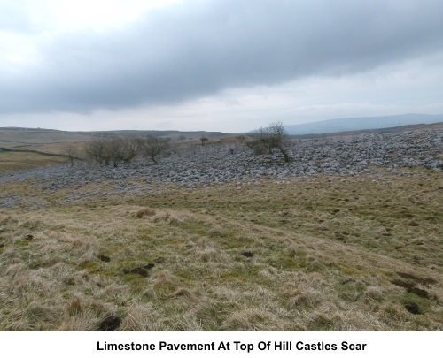 Limestone pavement at the top of Hill Castles Scar