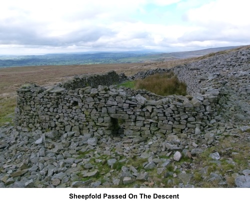 Sheepfold on descent from Ingleborough