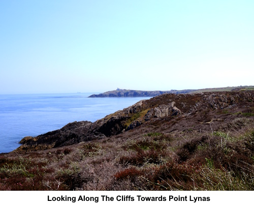 Looking along the cliffs to Point Lynas.