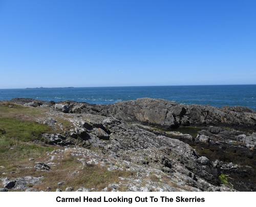 Carmel Head looking out to the Skerries.