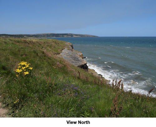 View looking north