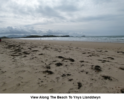 View to Ynys llanddwyn, along the beach