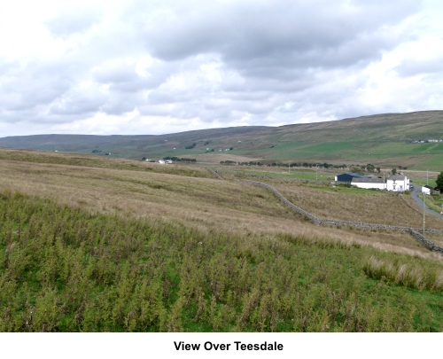 View over Teesdale