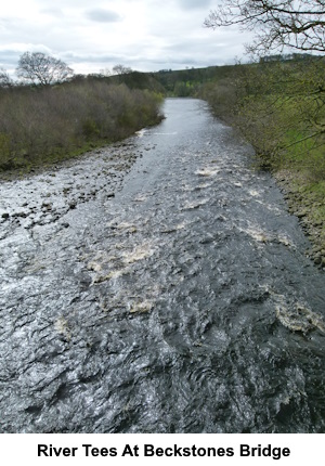 River Tees at Beckstones Bridge.