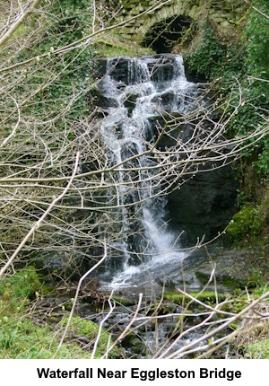 A waterfall near Eggleston Bridge.