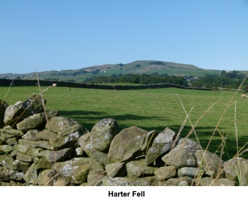 Harter Fell seen from the road.