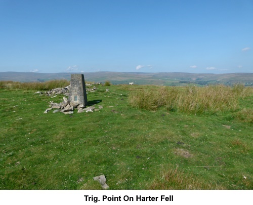 Trig. point on Harter Fell.