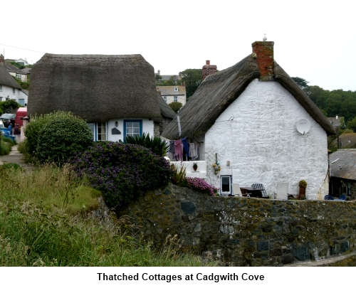 thatched cottages at Cadgwith cove