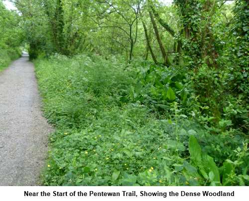 Pentewan Trail