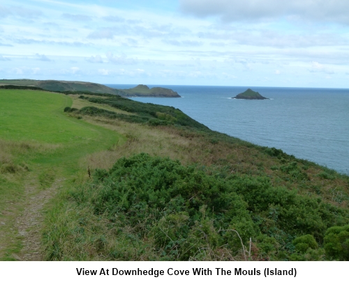 View at Downhedge Cove with The Mouls island
