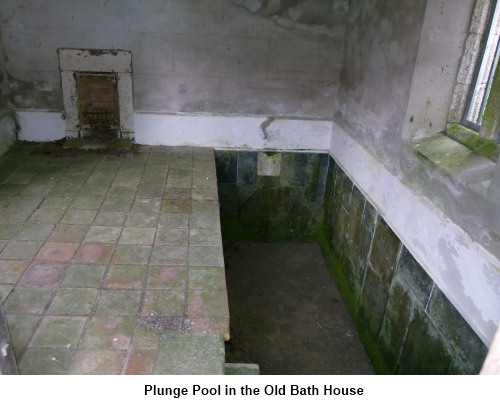 Plunge Pool in the old Bath house