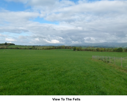 View to the fells