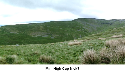 A mini High Cup Nick