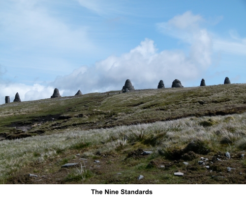 Nine Standards