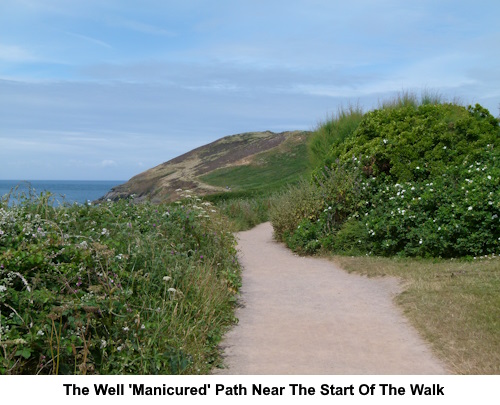 Example of the "well manicured" path near the start.