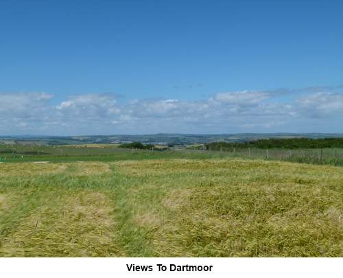 View to Dartmoor