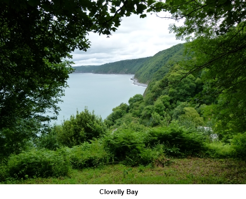 Clovelly Bay