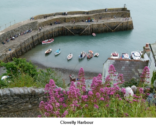 Clovelly Harbour