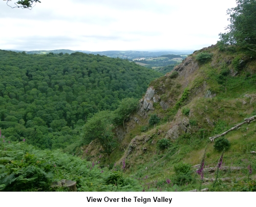 Teign valley view