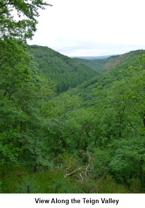Teign Valley view