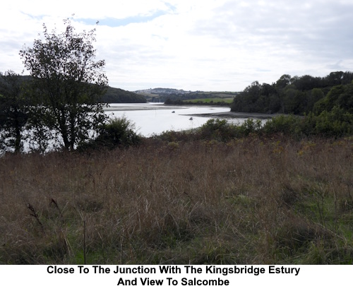 Near the junction with the Kingsbridge Estuary and view to Salcombe.