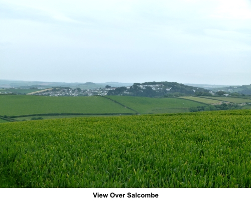 View over Salcombe
