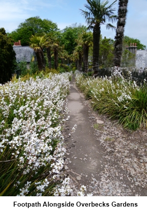 The footpath alongside Overbecks gardens