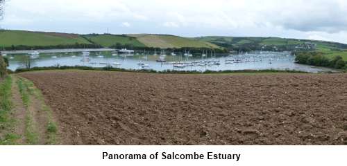 Panorama of Salcombe Estuary