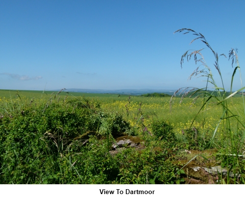 View to Dartmoor