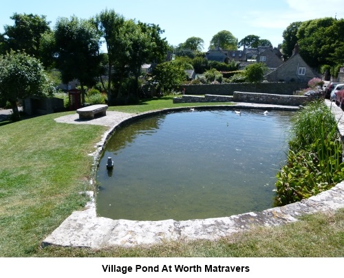 Village pond at Worth Matravers