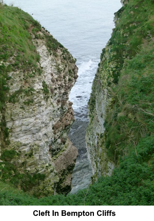 A cleft in Bempton Cliffs.